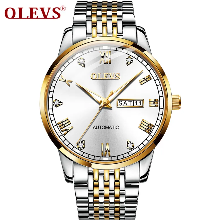 OLEVS 6602 Luxury Watch