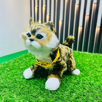 Sensor System China Cat Doll