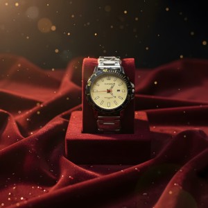 Casio Stainless Steel Water Resistance Watch