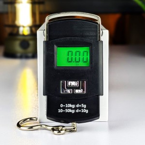 Portable Hook Weighing Machine Digital