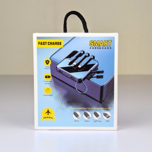 Smart Fast Charge Power Bank (10000mAh, Multi Cable Built-in)